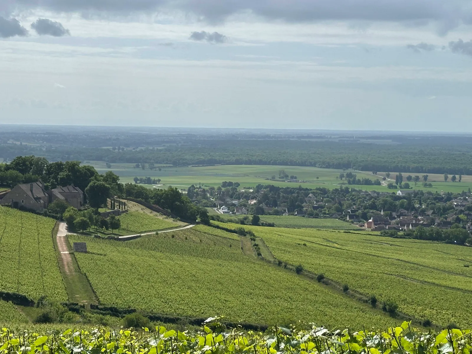 Vineyard plots on the slope above Givry, running down to the Saône plain
