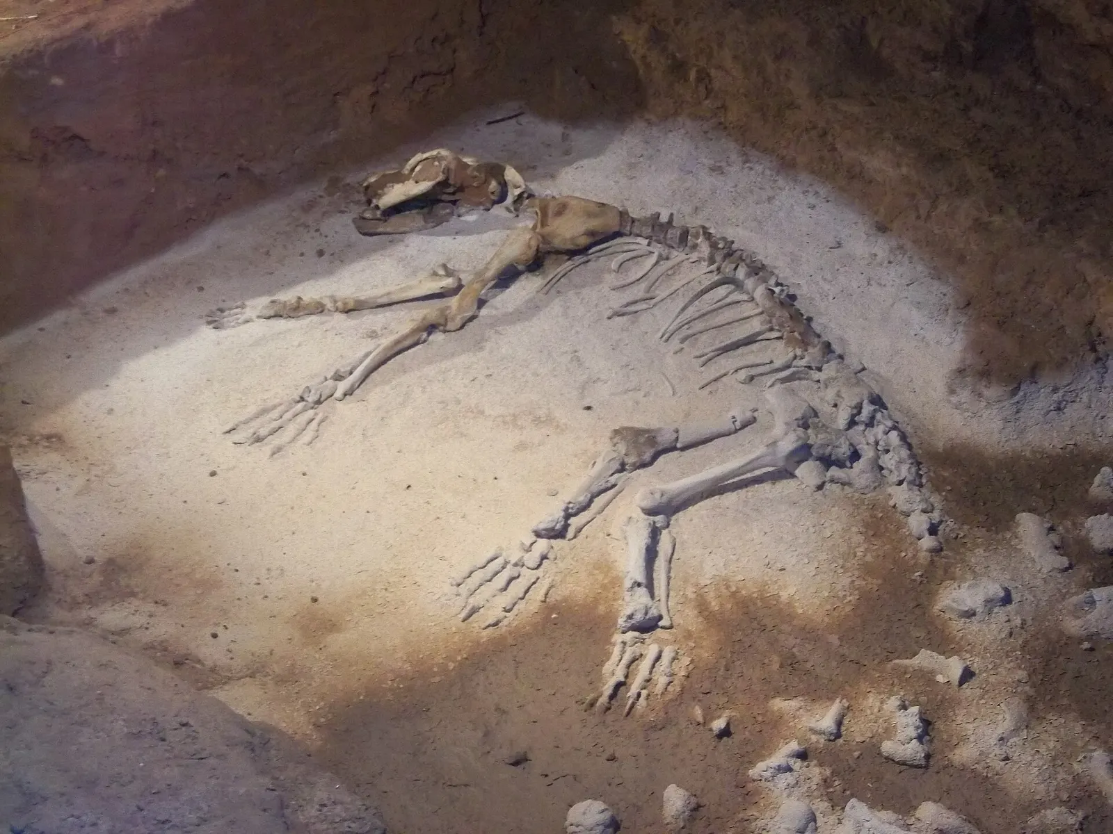 Grottes d'Azé