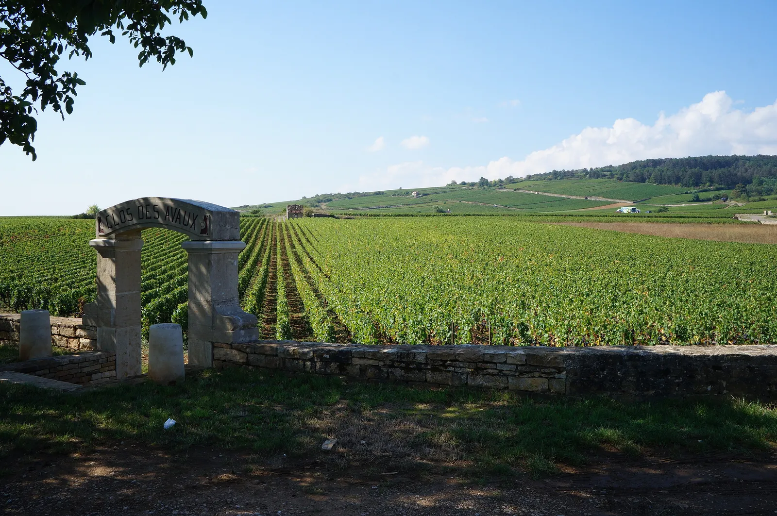 The stone gateway of a walled vineyard of Beaune, the Clos des Avaux, opening onto rows of vines