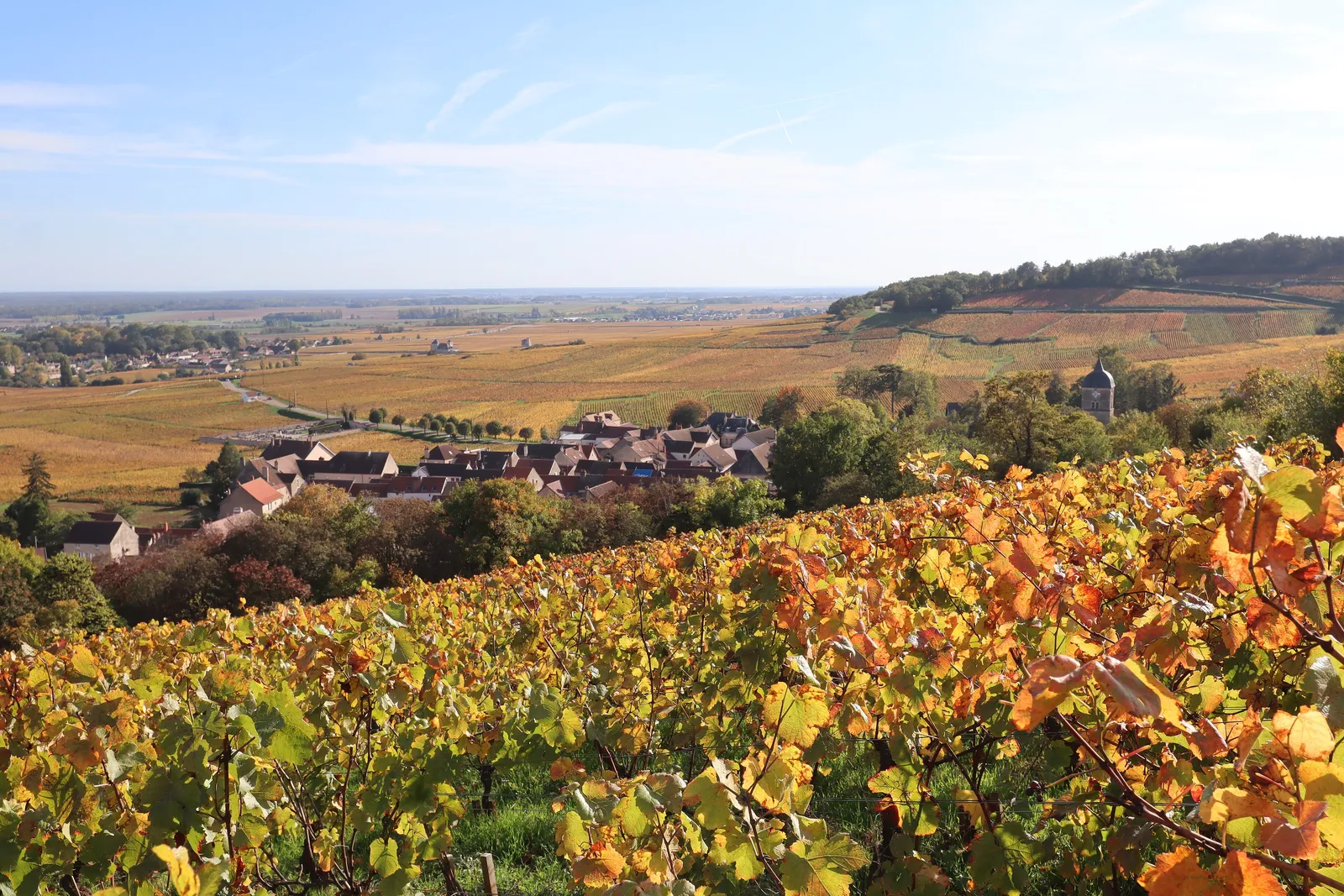 Golden autumn vines on the slope above Chambolle-Musigny, with the village roofs and the plain beyond