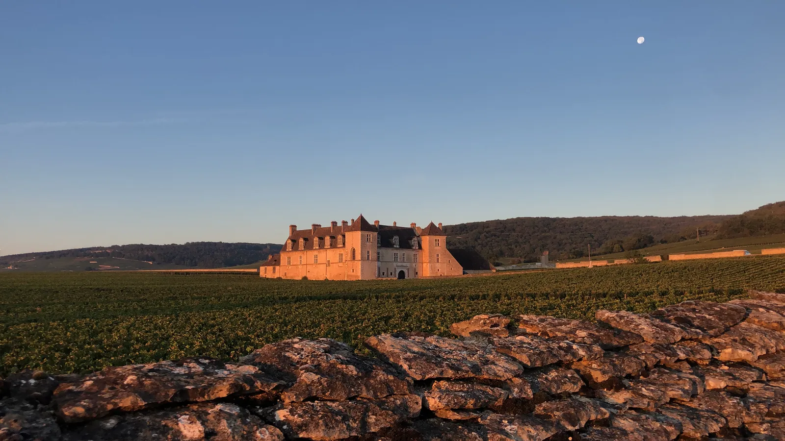 The Château du Clos de Vougeot in the last evening sun, above its vineyard and a dry-stone wall