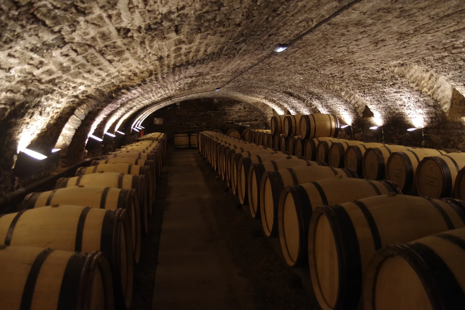 Rows of oak barrels under the vaulted stone cellar of the Hospices de Beaune